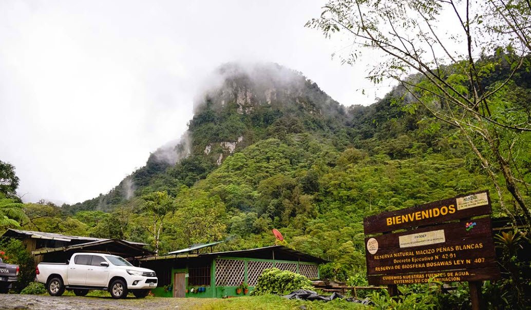 Peñas Blancas Massif, Jinotega Department, Nicaragua